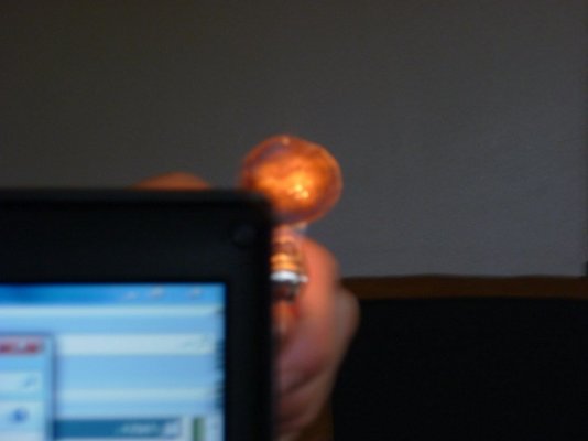 backlit Bubs.JPG