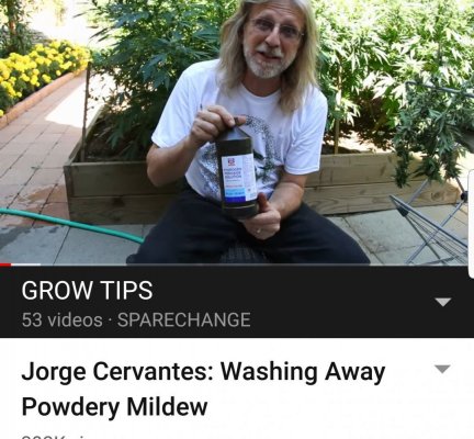 Screenshot_20191207-125938_YouTube.jpg