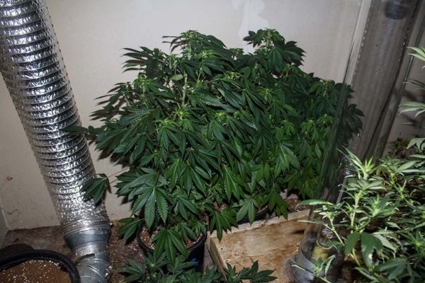 DSD start 3 weeks big light-private.jpg