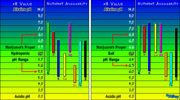 56D6DEA9-1B2E-4418-AA4B-C5D25D0F9D11.png