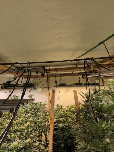 Quest Dual 155, anyone using ducting with it?