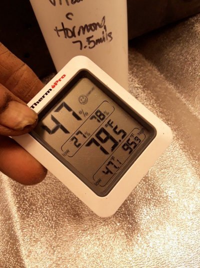 15765033240872488894658731079857.jpg