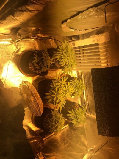Need help