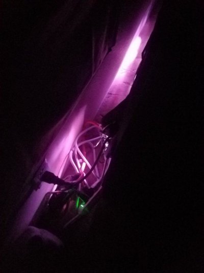20191217_060831.jpg