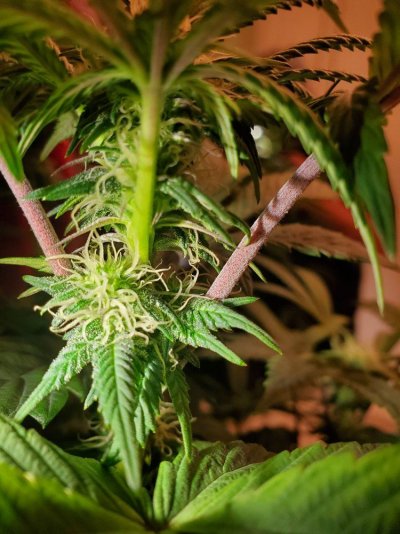 20191219_162947.jpg