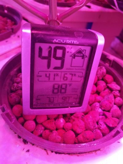 20191226_103421.jpg