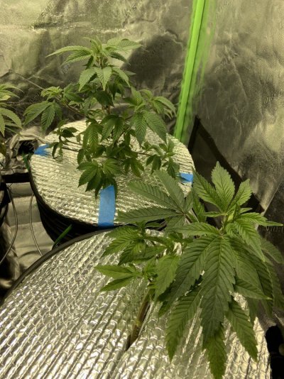 Any suggestions ??