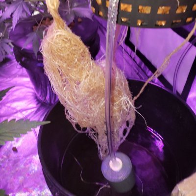 20191227_123628.jpg