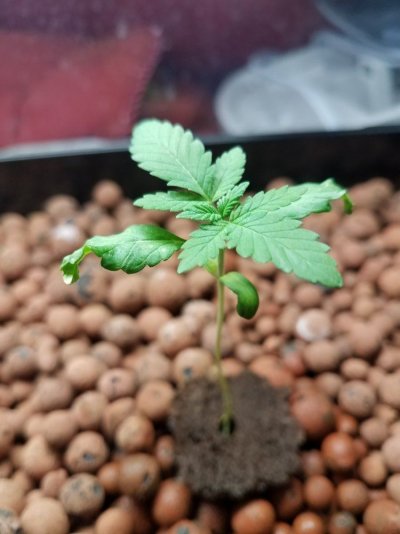 20191230_060415.jpg