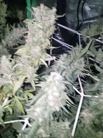 VideoCapture_20191230-162932.jpg