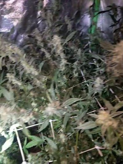 VideoCapture_20191230-162922.jpg