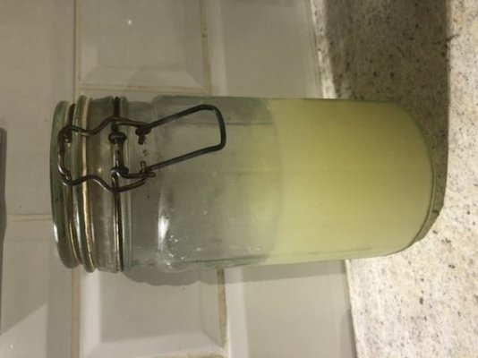 Any info about KNF (Korean natural farming)