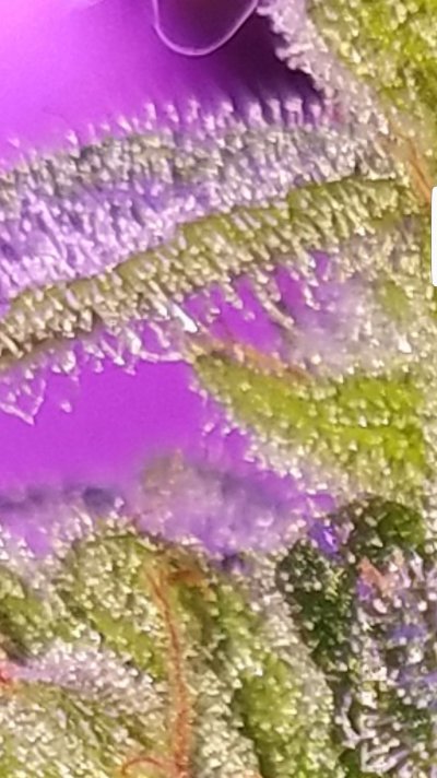 Screenshot_20200102-092341_Gallery.jpg