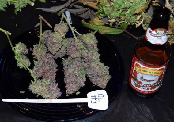 outlaw_urkle_x_dpd_day_701_5.JPG