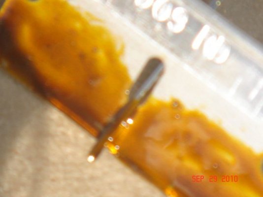 harvest 009.jpg