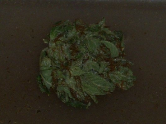 Special K closest.JPG