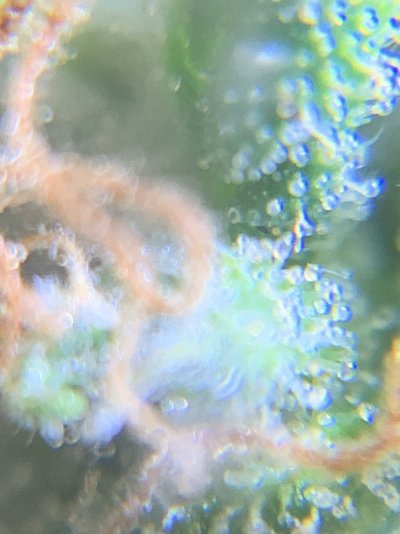 67042282-AD0C-42C3-B40E-CE43753EC619.jpeg