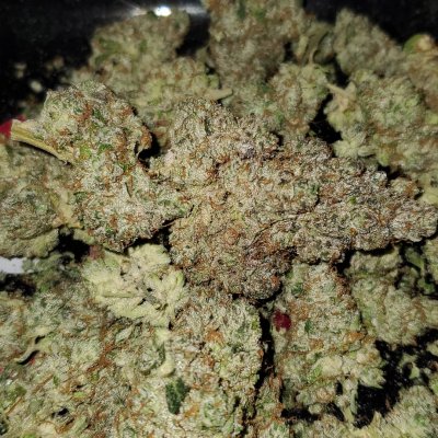 Sundae Driver x GMO 1.jpg