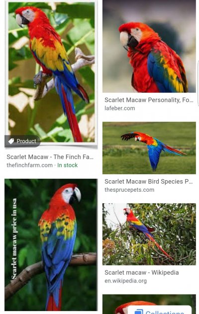 Screenshot_20200116-073226_Chrome.jpg