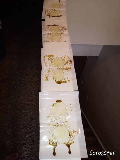 Rosin pics/vids show us what your pressing.
