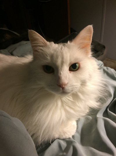 Belle.JPG