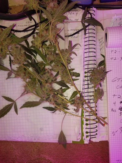 20200126_100641.jpg