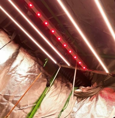 DIY strip builds
