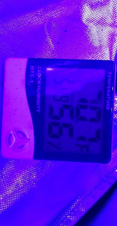 (HELP!) New Grower needing Guidance