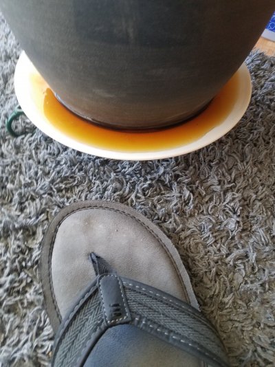 15805907779063739662909180208212.jpg