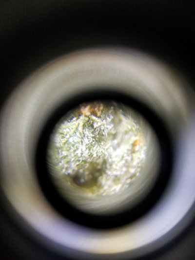 Recreational MJ Shops