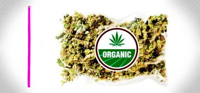 organicWeed.jpg