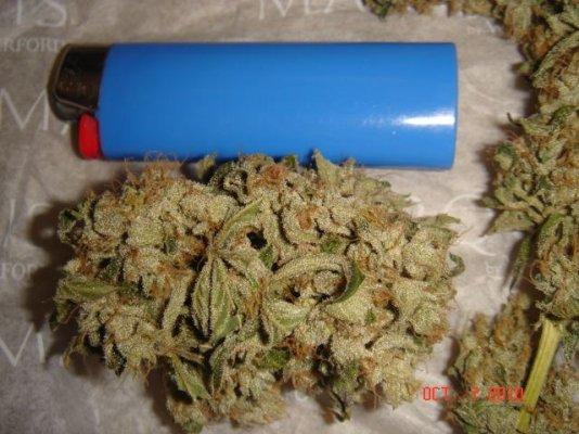harvest 040.jpg