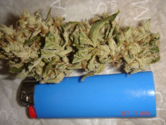 harvest 041.jpg