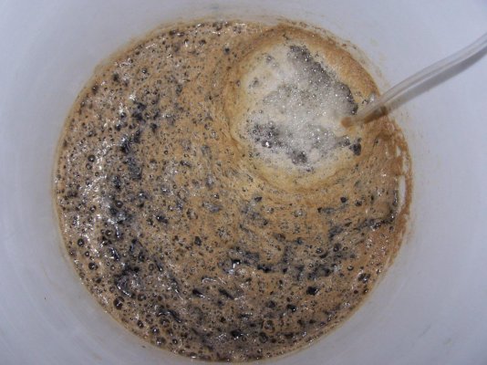 Hash Water Tea
