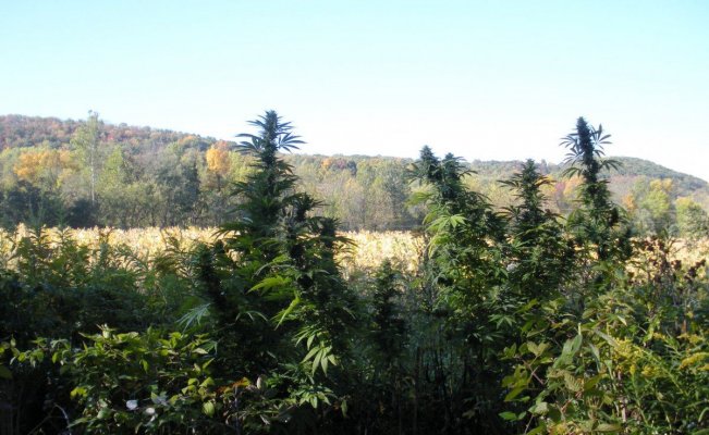 DSCN1070.JPG