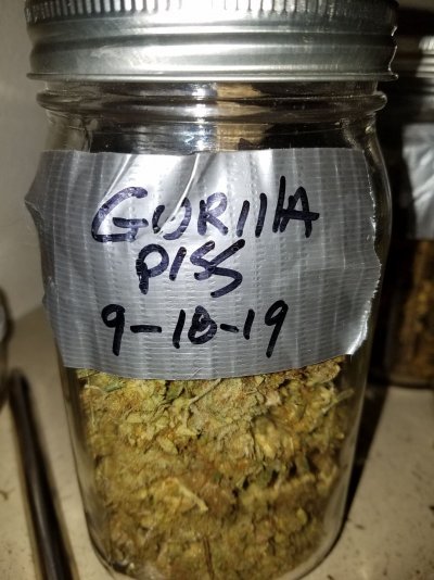White Widow Smell???