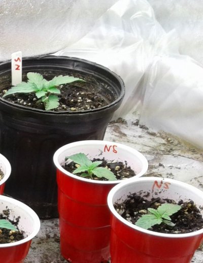 20200208_062654.jpg
