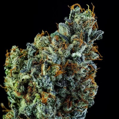 chemcookies_167.jpg