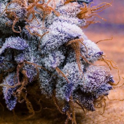 chemcookies_129.jpg