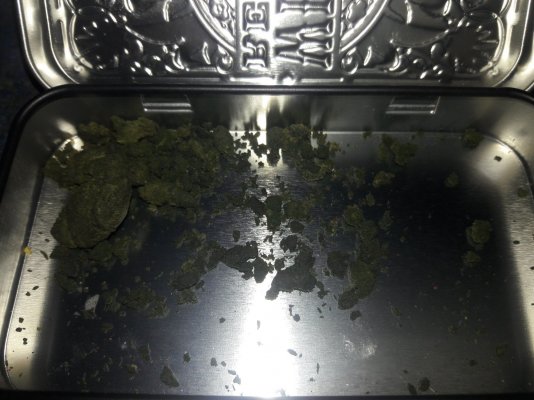 Plumber's First Coco Grow