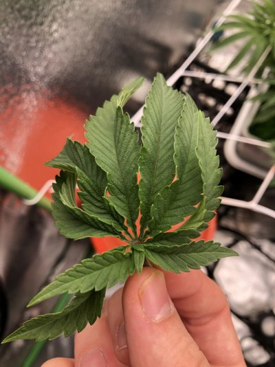 What do you think is causing this?