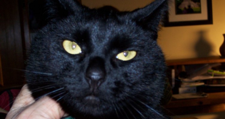 Coal up close.JPG