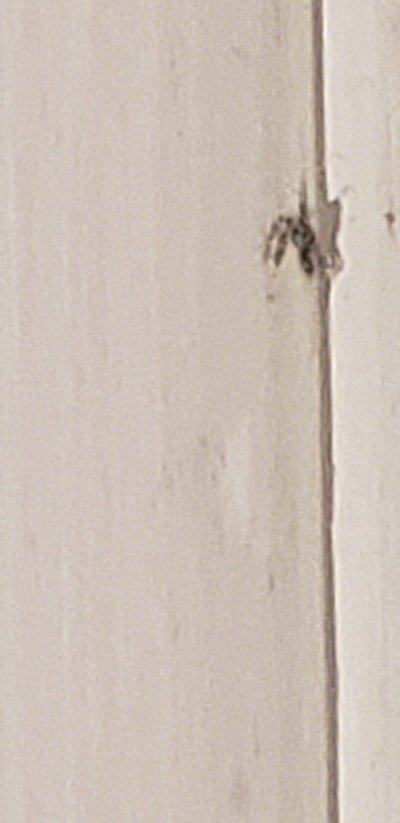 20200306_153025.jpg