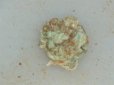 Special K (1) (Large).jpg