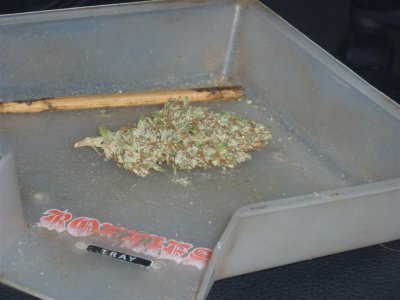 Atomic Haze (Large).jpg