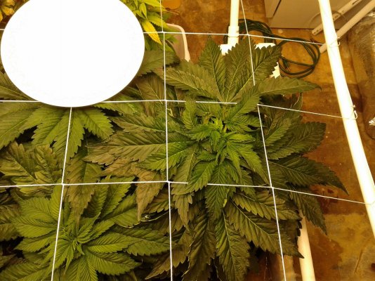 20200310_193357.jpg