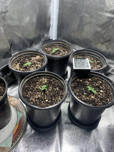 first-timer-fingerscrossed.jpeg