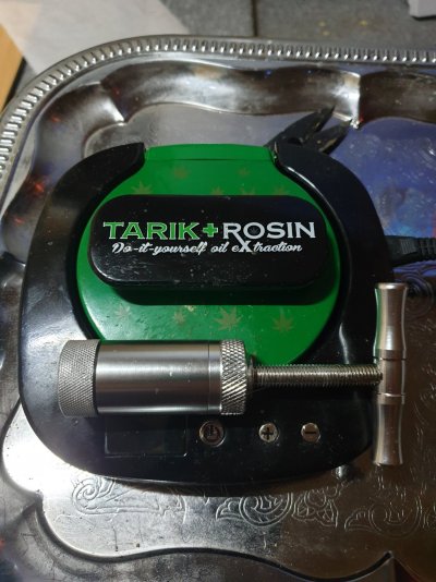 Winter strain selection and rehab corner