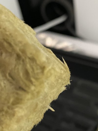 F92F050B-1133-46A1-BB86-796D7048FEDF.jpeg