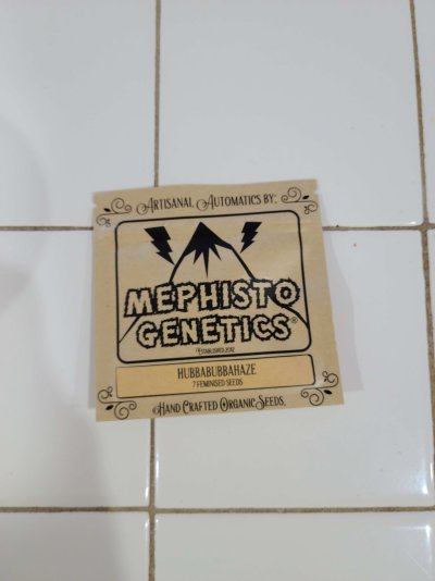 mephisto-hubbabubba-haze.jpg